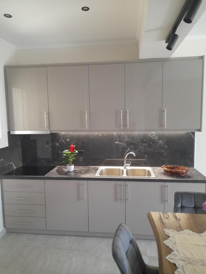 Lefkada Apartments エクステリア 写真